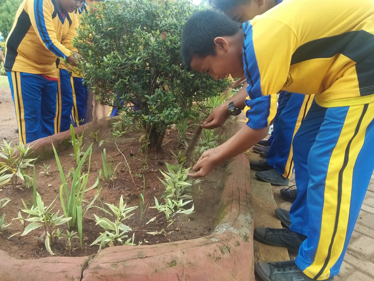 Pemanfaatan Pupuk Kompos di Sekolah SMP Negeri 2 Malili